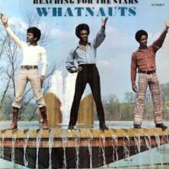 "Instigating (Trouble Making Fool)" - Whatnauts (vinyl 45)
