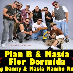 Plan B & Masta - Flor Dormida (Big Danny & Masta Mambo Remix) (In-Out Mix)