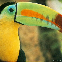 WHYTEA - UK FUNKY MIX OCT. 2012