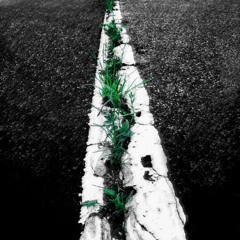 [Soundtrack] - Lines of Light