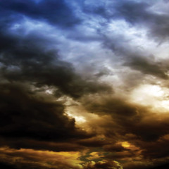 David Chid - Star Dust