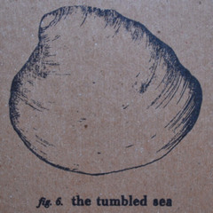 The Tumbled Sea - Summer II