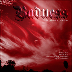 Reds , Jovan Le Saunier - Badness (To All My Haters Con Ache Remix )