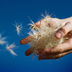 Einsigartig feat. Chronos - Hingabe (prod. D4MN BEATS)