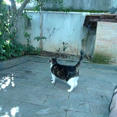 O Que Há Pra Viver - Wok Tok