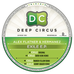 Alex Flatner & Hermanez - Exile - Benny Grauer Remix