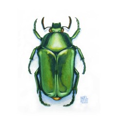 Blue Mountain Meltdown (Demo)