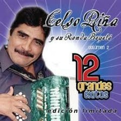 CUMBIA ARENOSA - CELSO PIÑA - SONIDO LIBERTADOR