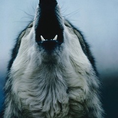 Mt.Wolf- Life Size Ghosts (Secret Diaries Remix)