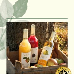 R.SA Morgenpost 08.10.2012 07:36 Uhr