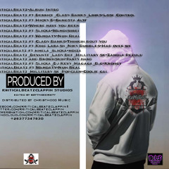 KriticalBeatz-Album Intro(+26377347830)