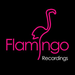 Whelan & Di Scala Feat. Eden - Open Up Your Heart - Flamingo Records