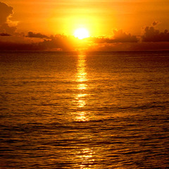 Last Of The Summer Bass