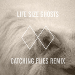 Life Size Ghosts (Catching Flies Remix)
