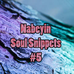 Nabeyin - Soul Snippets #5