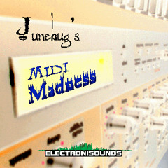 Electronisounds - JunebugsMidiMadness - MixExample07 (byPavelVladykin)
