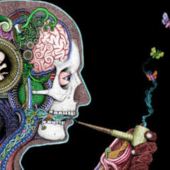 Heavily Medicated (outro) - bran blizz - Produced by Don Beatz