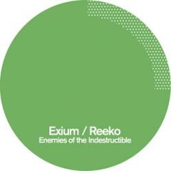 PoleGroup 14/  Exium & Reeko - Enemies of the Indestructible EP (Preview)