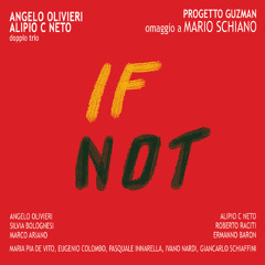 If Not Ecstatic We Refund (Alípio C Neto & Angelo Olivieri Double Trio "Guzman Project")