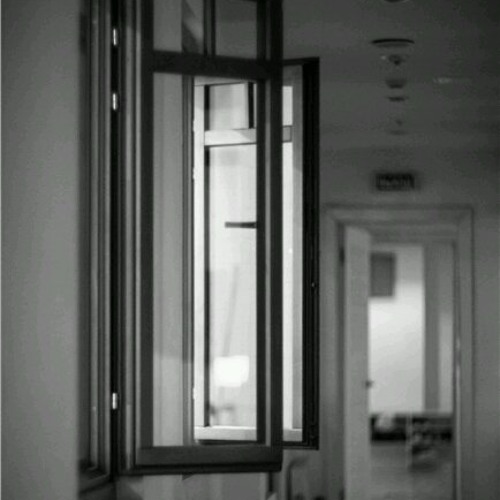 The Kooks   She Moves In Her Own Way (live)