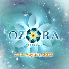 DJ Chandrananda @ Ozora 2012