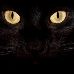 Music trance de [albertopuedes dj.] episodio 15 (2012)"Brave Heart"