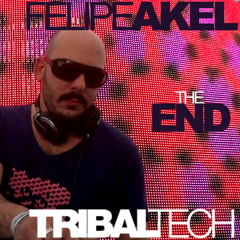 Felipe Akel aka Papito -The END (TRIBAL TECH 2012)