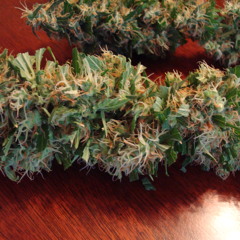 Righteous Bud