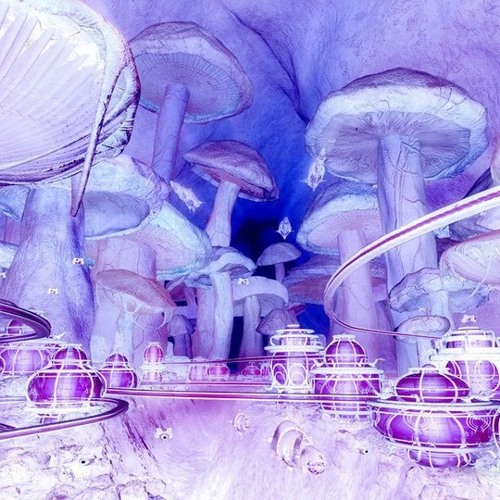 Cosmogil - Reencanto