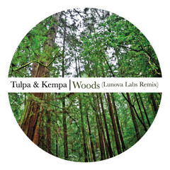 Tulpa & Kempa - Woods (Lunova Labs Remix)