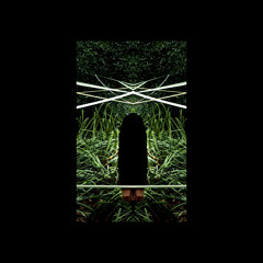 Nam Shub - Geostationary Eye/Amber (the passenger remix)