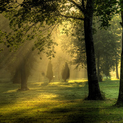 Setengah Tujuh Pagi | by @jemarimenari