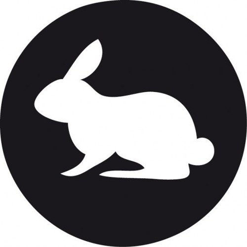 Monkey Safari - The White Rabbit