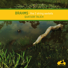 Brahms, String Sextet No.1 in B flat major Op.18 - Andante, ma moderato