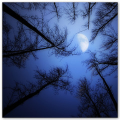 Debussy - Clair de Lune