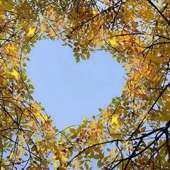 184 - Zaw Win Htut - A Chit The Lay Pyay