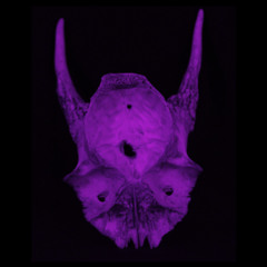 The Code - Sickest (As We Said Remix) FREE