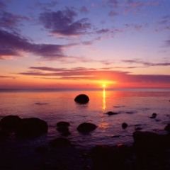 Smokey Robinson & The Miracles - Tracks of My Tears (LIVE COVER)