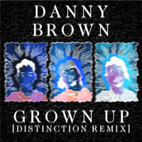 Danny Brown - Grown Up (Distinction Remix)