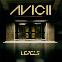 Avicii-levels Vs sombody that i use to know (DJ YVES Mashup)