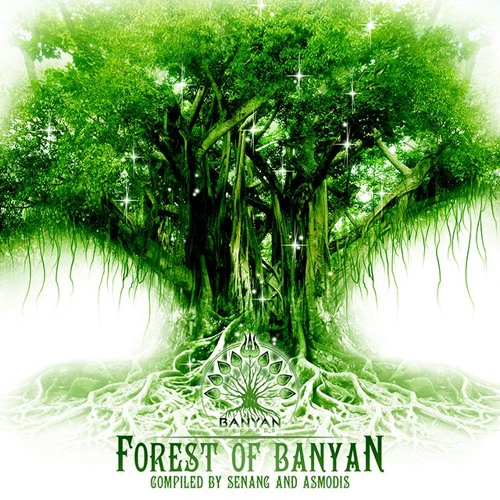 Shadow Noises - Angels and Demons 148 Out for Banyan Records