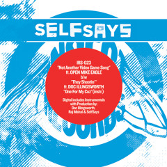 SelfSays  "Not Another Video Game Song" ft. Open Mike Eagle