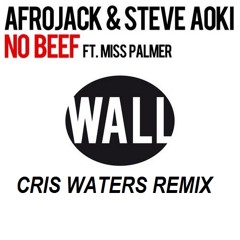 Afrojack, Steve Aoki & Miss Palmer - No Beef (Cris Waters Remix)