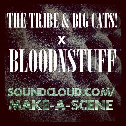 THE TRIBE & BIG CATS! X BLOODNSTUFF