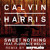 Artwork for Calvin Harris Feat. Florence Welch - Sweet Nothing (Dirtyloud Remix)