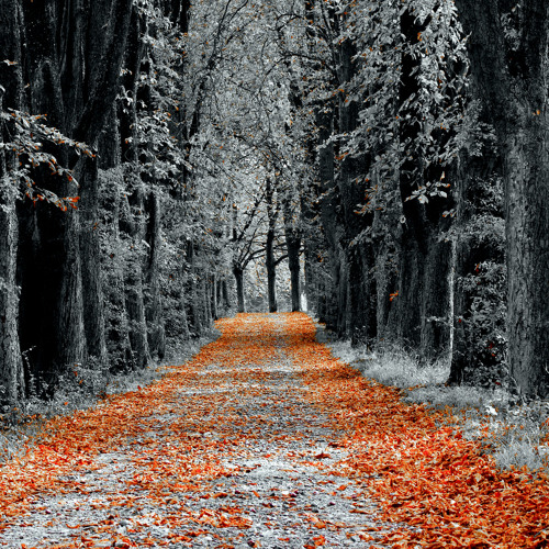 Lass Knacken Vol.9 - Herbstgedicht