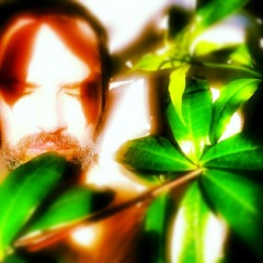 The Nude - The Catherine Wheel/Rob Dickinson - Version by Silk