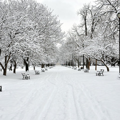 So Slow - Casual Product Ft Mr. Lane and Don Machavelli