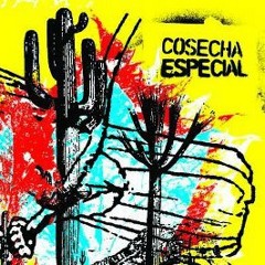 Solo pienso - Cosecha Especial