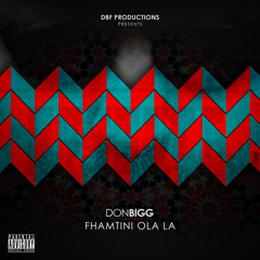 BIGG-FHAMTINI WALA LA mastered